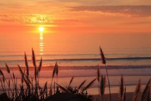 The Lost Arts of Stillness and Silence
