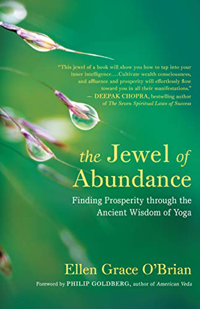 book cover jewel of abundance