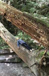 savasana on tree