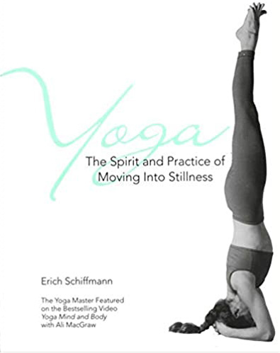 book cover the spirit and practice of moving into stillness